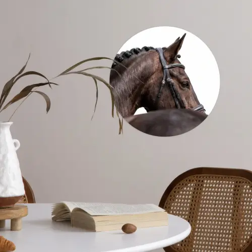 Portret - Paard - Elegant Wandcirkel behangsticker klein -sfeer3