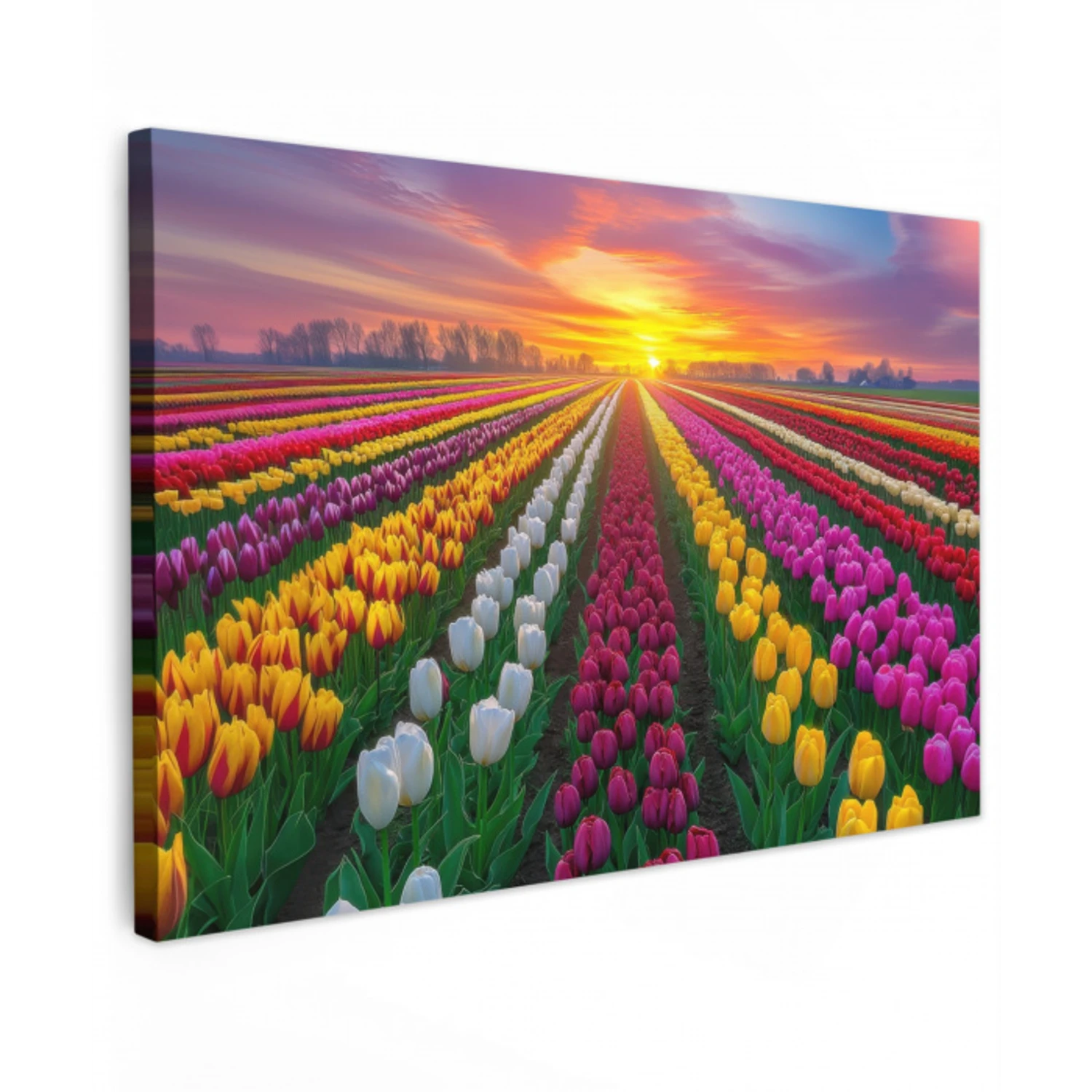 Tulpenveld - Zonsondergang - Kleurrijk Tuinposter op houten frame 2 cm dik klein -3d