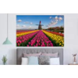 Tulpen - Holland - Molen - Kleurrijk forex 5mm xxl -slaapkamer