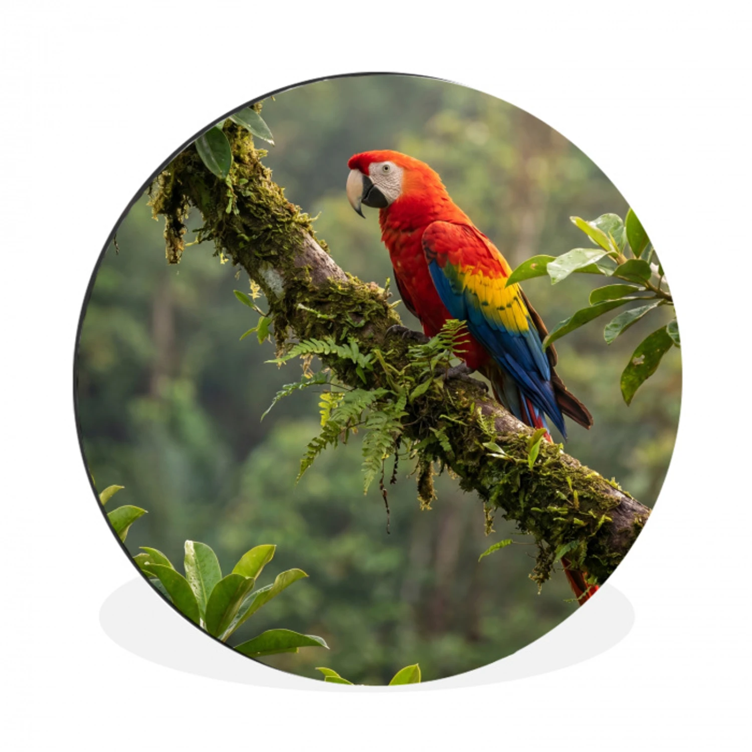 Ara - Jungle - Rood Wandcirkel aluminium klein -3d