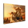Leeuwenpaar bij zonsondergang Tuinposter op houten frame 2 cm dik klein -3d