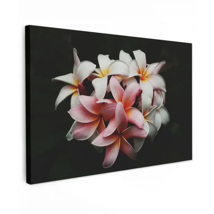 Bloemen - Roze - Zwart - Flora - Botanisch canvas 2cm klein -z3d