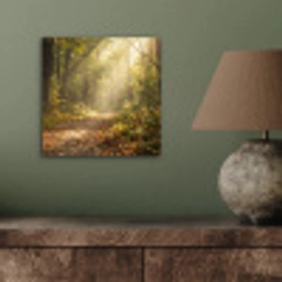 Zonlicht - Bospad - Bomen aluminium wit klein -sfeer2