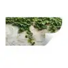Klimop - Muur - Groen Muursticker klein -3d