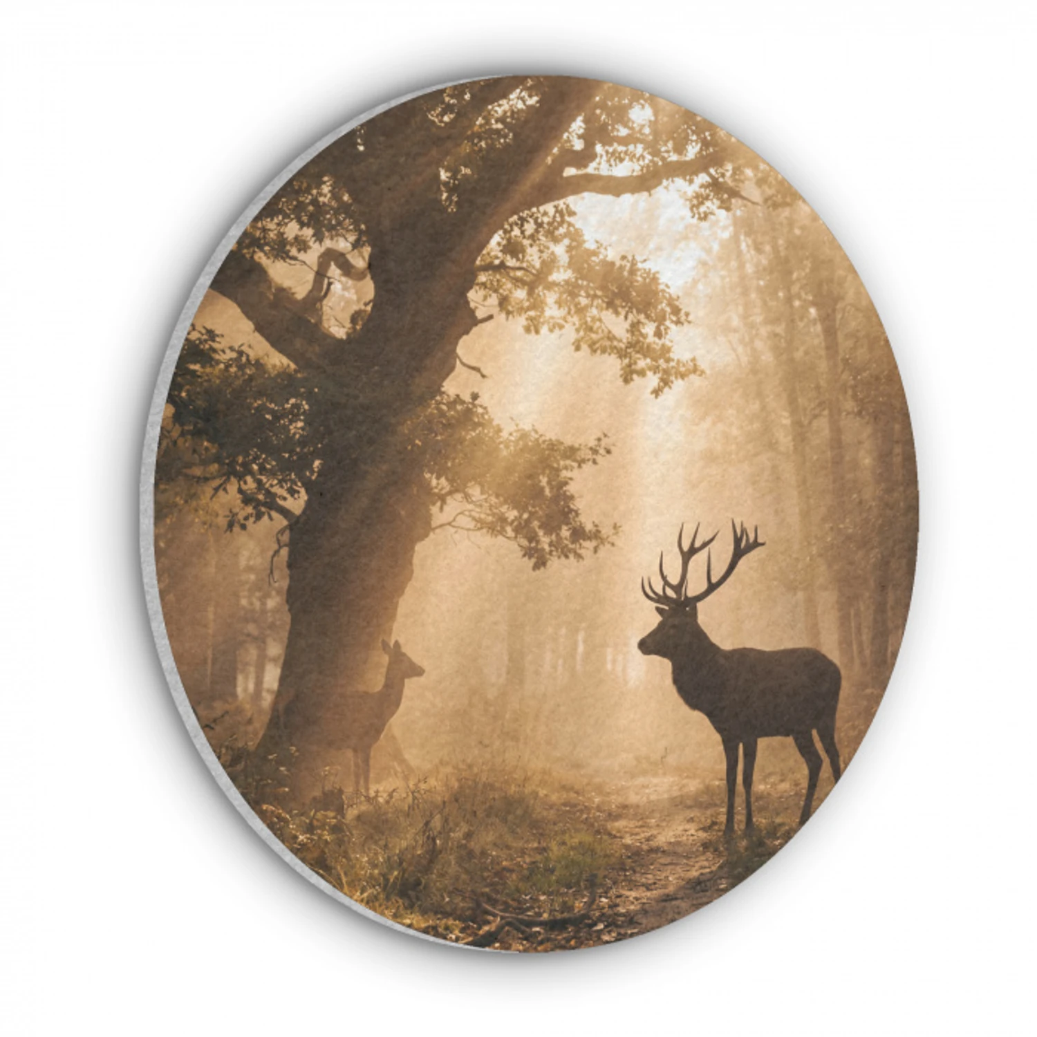 Hert - Bos - Mistig - Natuur - Goud Akoestische PET Vilt - Rond klein -3d