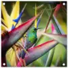 Kleurrijke vogel tussen allemaal kleurrijke platen tuinposter los doek klein -3d