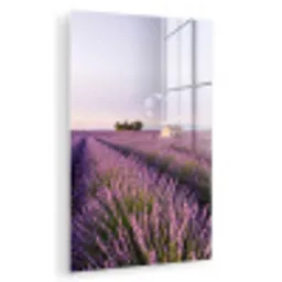 Lavendel - Landschap - Sereen - Paars plexiglas 5mm klein -zzzproduct_nieuw