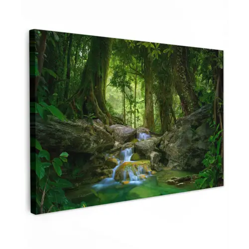 Waterval in het Regenwoud Tuinposter op houten frame 2 cm dik klein -3d