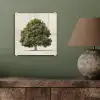 Eikenboom - Groen - Lichte achtergrond plexiglas 5mm klein -sfeer3