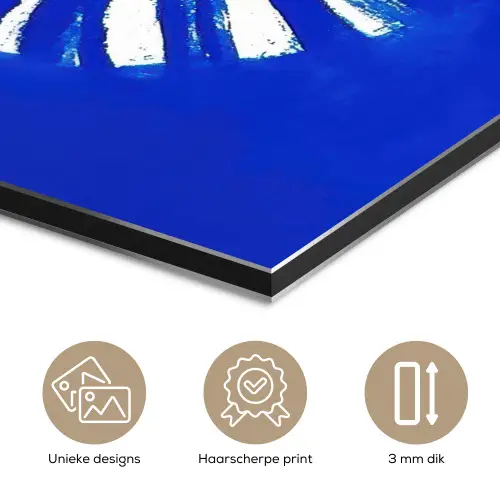 Zon - Gezicht - Penseelstructuur - Blauw aluminium wit klein -closeup_NL
