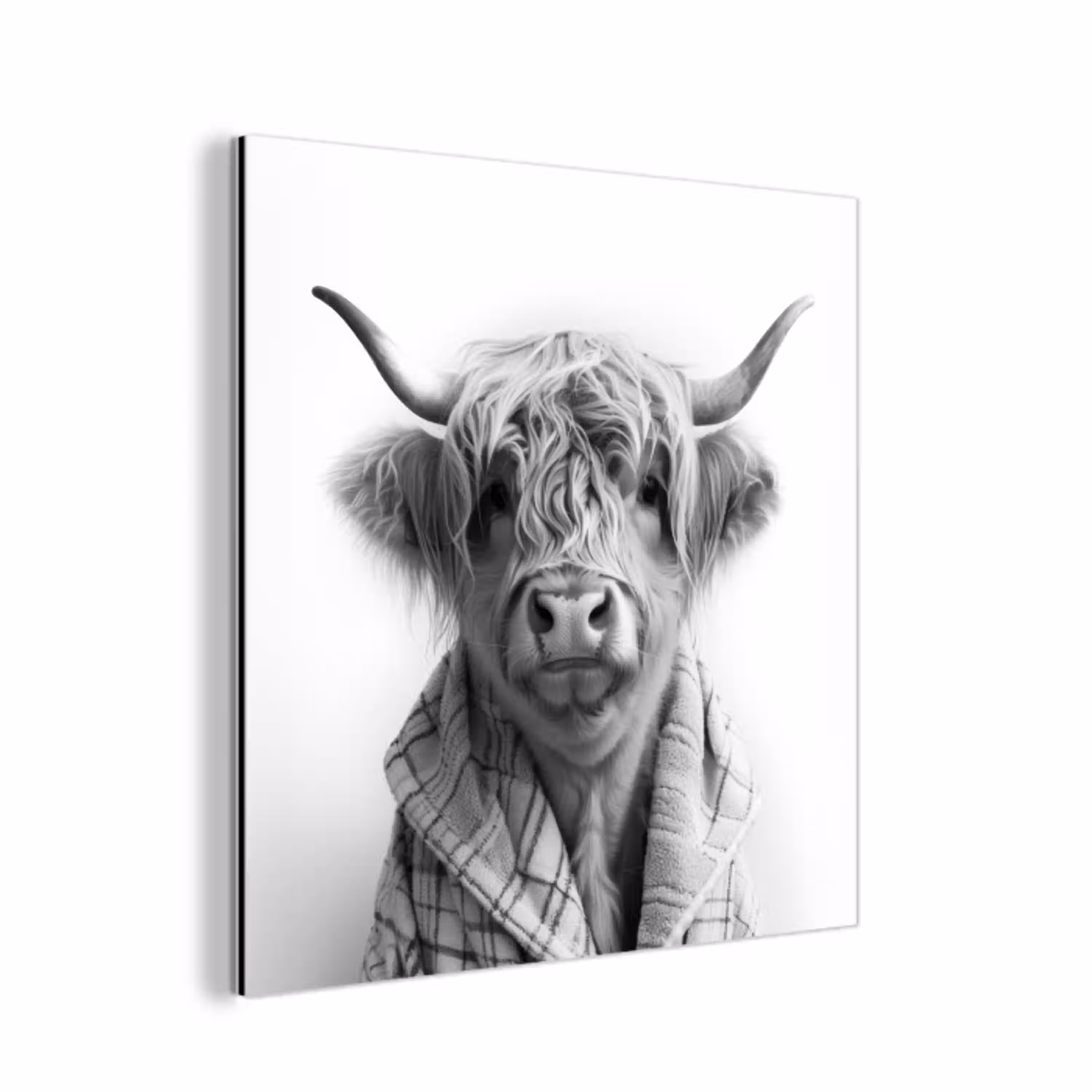 Schotse Hooglander - Koe - Badjas - Zwart wit aluminium wit klein -3d