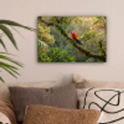 Ara - Jungle - Rood canvas 2cm klein -sfeer1