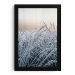 Rijp - Gras - Kristallen - Winter - Minimalistisch fotolijst zwart zonder passe partout klein -3d