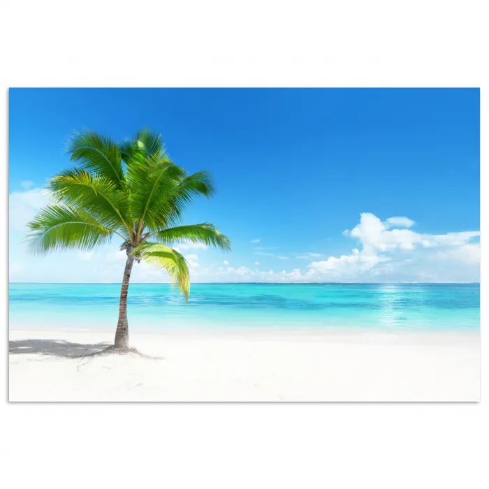 Palmboom - Strand - Zee - Zomer poster papier klein -3d