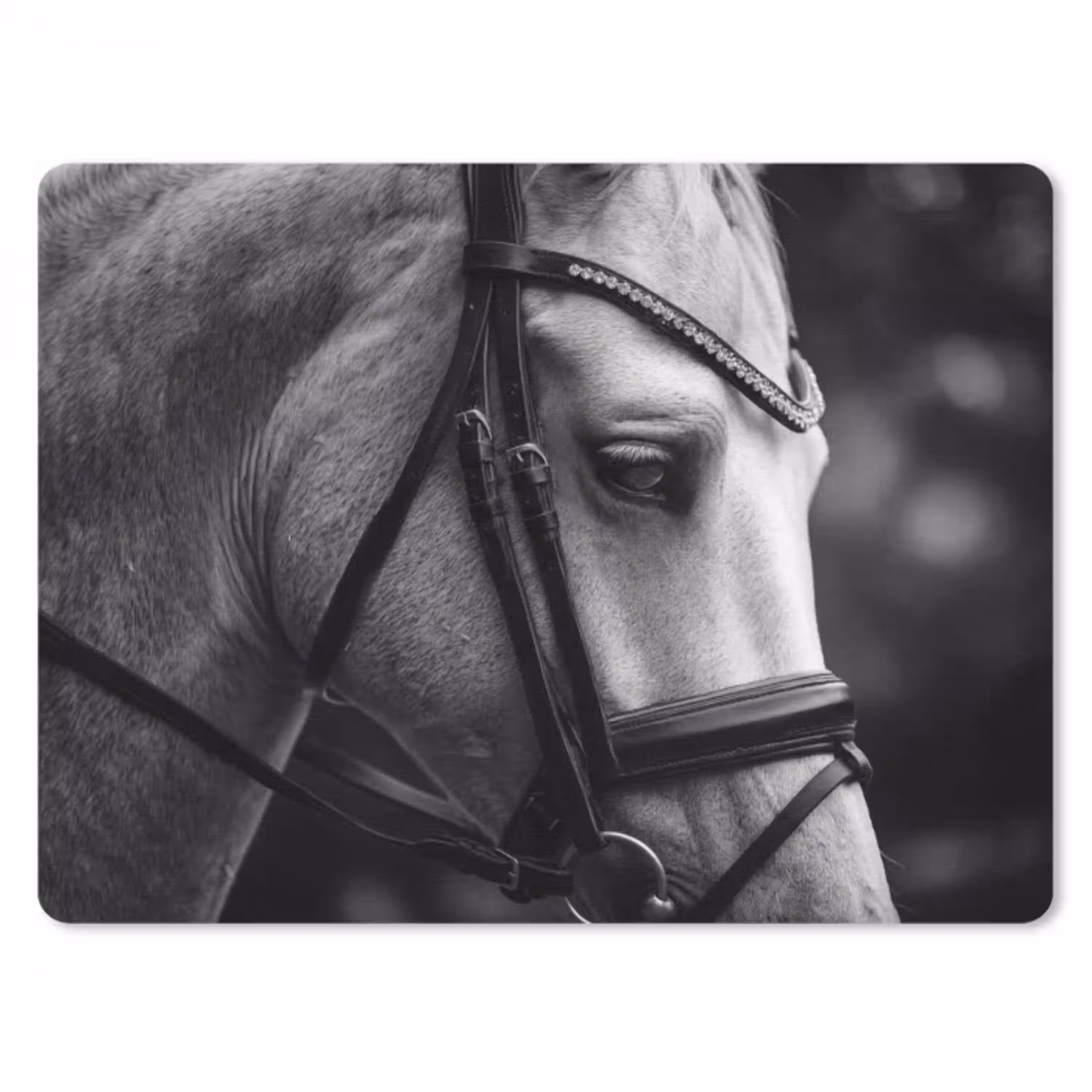 Paard - Schimmel - Portret muismat rubber klein -3d