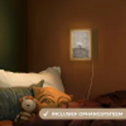Zwaan - Elegant - Dieren - Wit Light Box met kabel (Kinderlampje) klein -sfeer5_kind