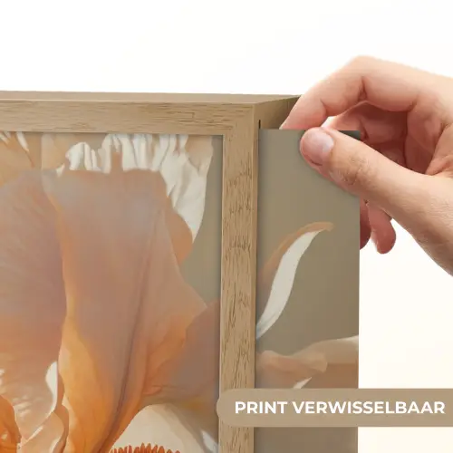 Close up - Oranje - Iris Light Box met batterij (Wandlamp) middel -USP_websiteprintNL