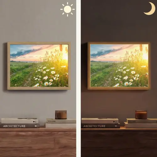 Bloemen - Madelief - Natuur - Zon - Horizon Light Box met batterij (Wandlamp) middel -sfeer3