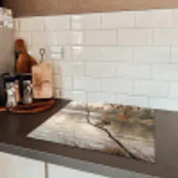 Winterkoninkje - Tak - Rivier - Natuur - Sfeervol Inductie beschermer vinyl 3mm middel -sfeer3