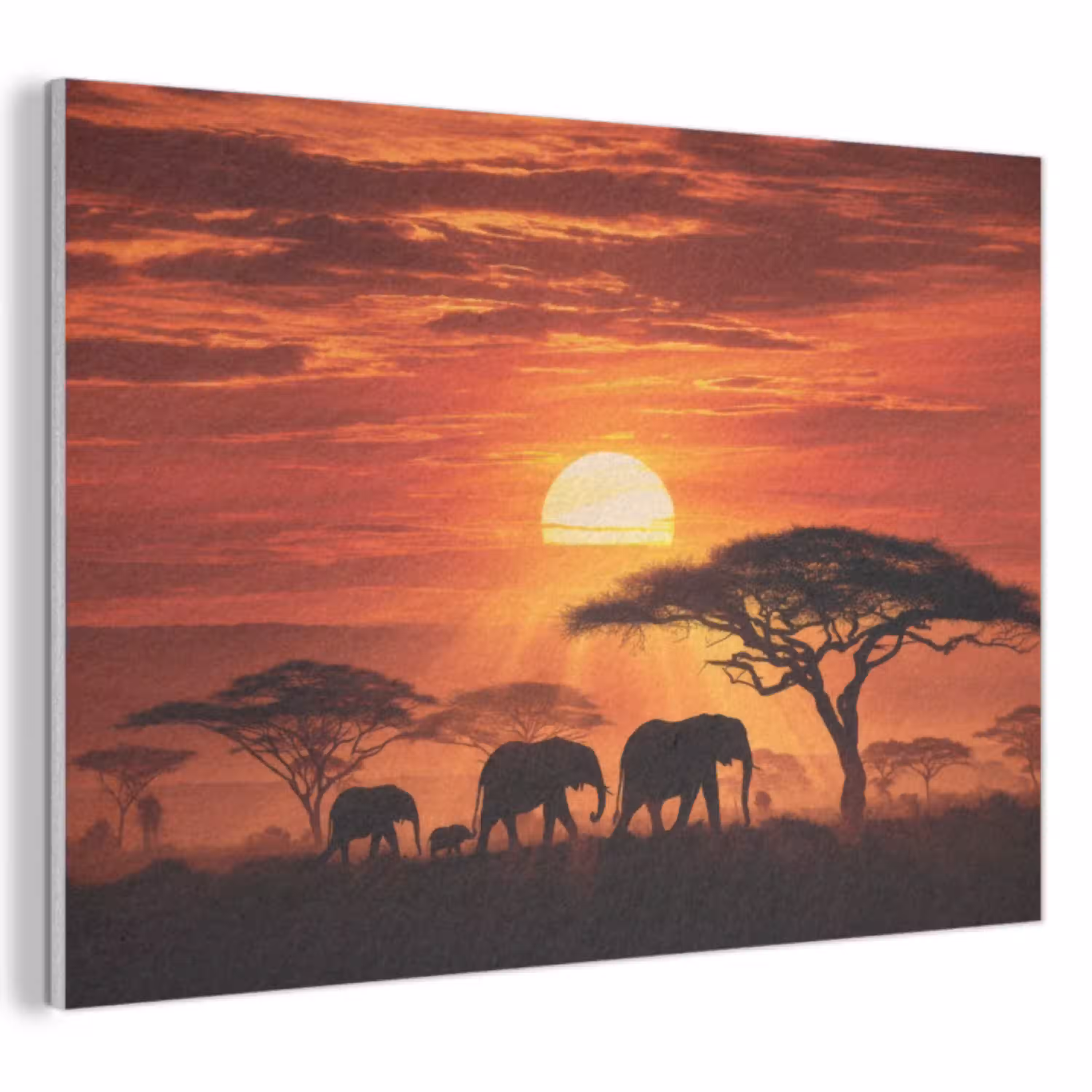 Savanne - Olifanten - Zonsondergang PET vilt klein -3d