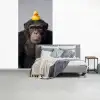 Chimpansee - Badeend - Grijs fotobehang vinyl groot -slaapkamer