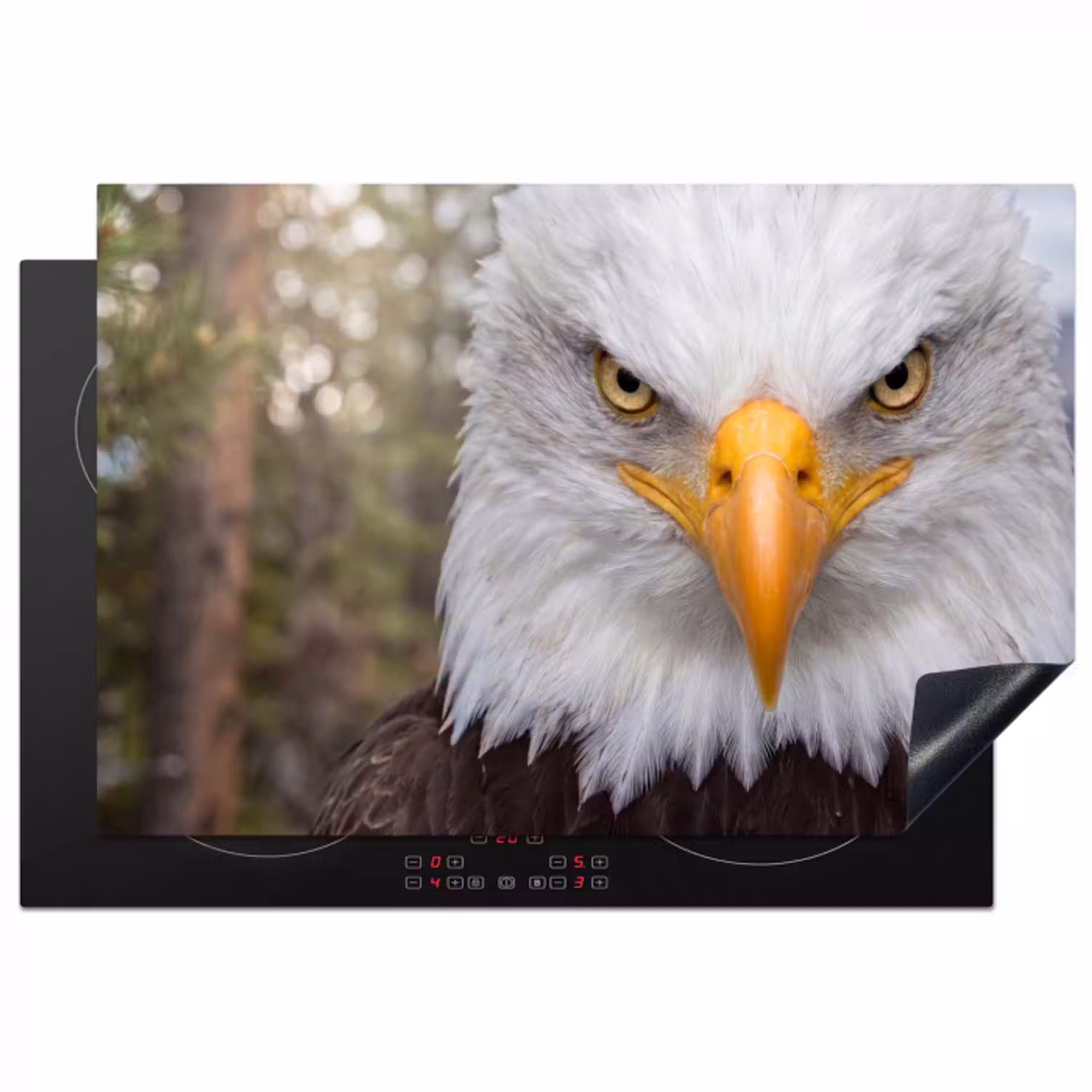 Amerikaans - Zeearend - Portret - Geel Inductie beschermer vinyl 3mm klein -3d