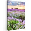 Bloemen - Lavendel - Paars - Lucht - Zonsondergang - Weide - Natuur Tuinposter op houten frame 2 cm dik klein -3d