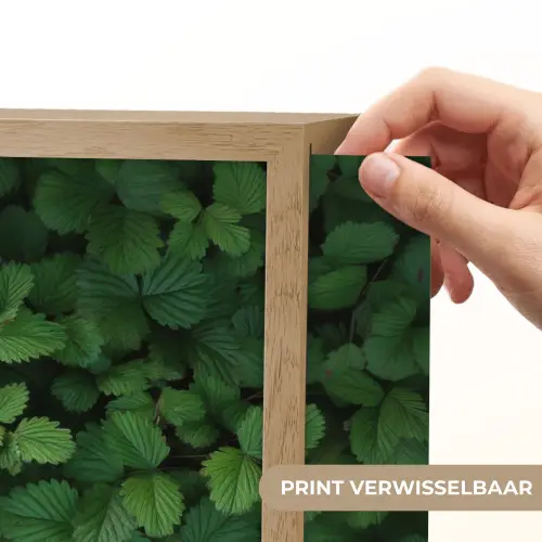 Groen - Bladeren - Kartel - Zonlicht Light Box met batterij (Wandlamp) middel -USP_websiteprintNL
