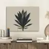 Agaveplant - Symmetrisch - Groen PET vilt klein -sfeer1