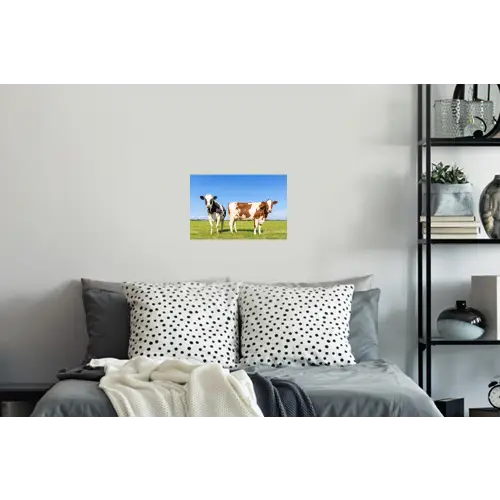 Koeien - Boerderij - Gras- Natuur - Dieren Muursticker klein -slaapkamer