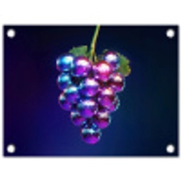 Paars - Disco - Feest - Druif tuinposter los doek klein -3d