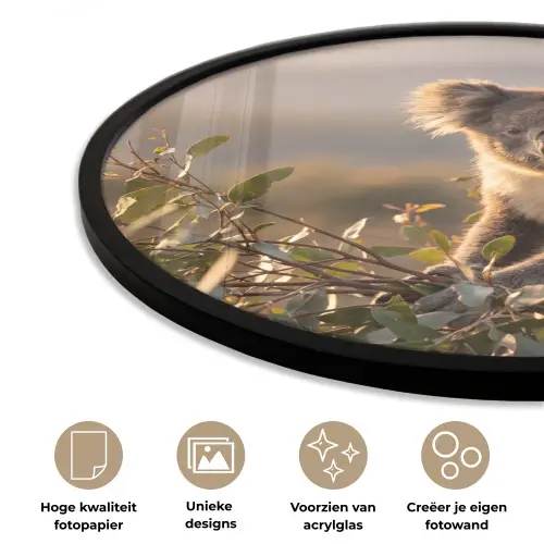 Koala - Bladeren - Ochtendlicht Fotolijst rond zonder passe partout klein -closeup_NL