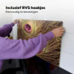 Pauw - Veren - Paars - Groen Inductie beschemer met haakjes klein -ky-ophangen-nl