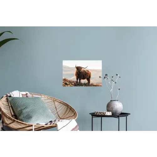 Schotse hooglander - Dieren - Landelijk - Landschap - Koe - Natuur Muursticker klein -plant