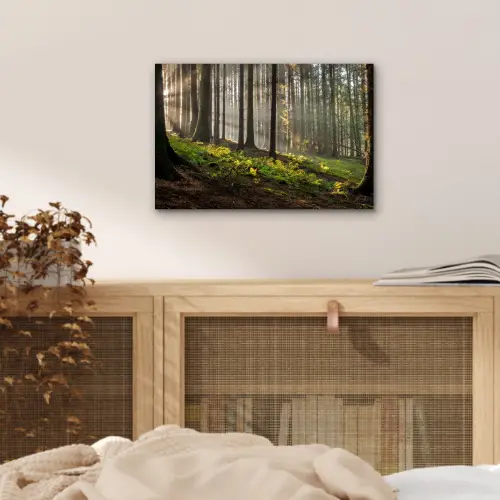 Zon - Takken - Bomen - Bos - Natuur aluminium wit klein -sfeer3