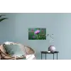Aster - Paars - Bloem - Blaadjes Muursticker klein -plant
