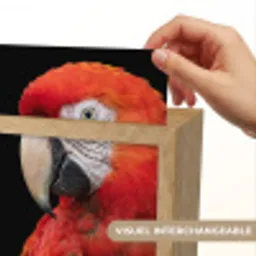 Ara - Portret - Rood Light Box met kabel (Kinderlampje) klein -USP_websiteprintFR