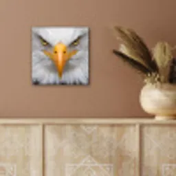 Amerikaans - Zeearend - Portret - Geel aluminium wit klein -sfeer4
