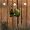 Jungle - Natuur - Trap - Bomen tuinposter los doek klein -sfeer1