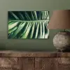 Palmblad - Tropisch - Natuur - Jungle aluminium wit klein -sfeer2