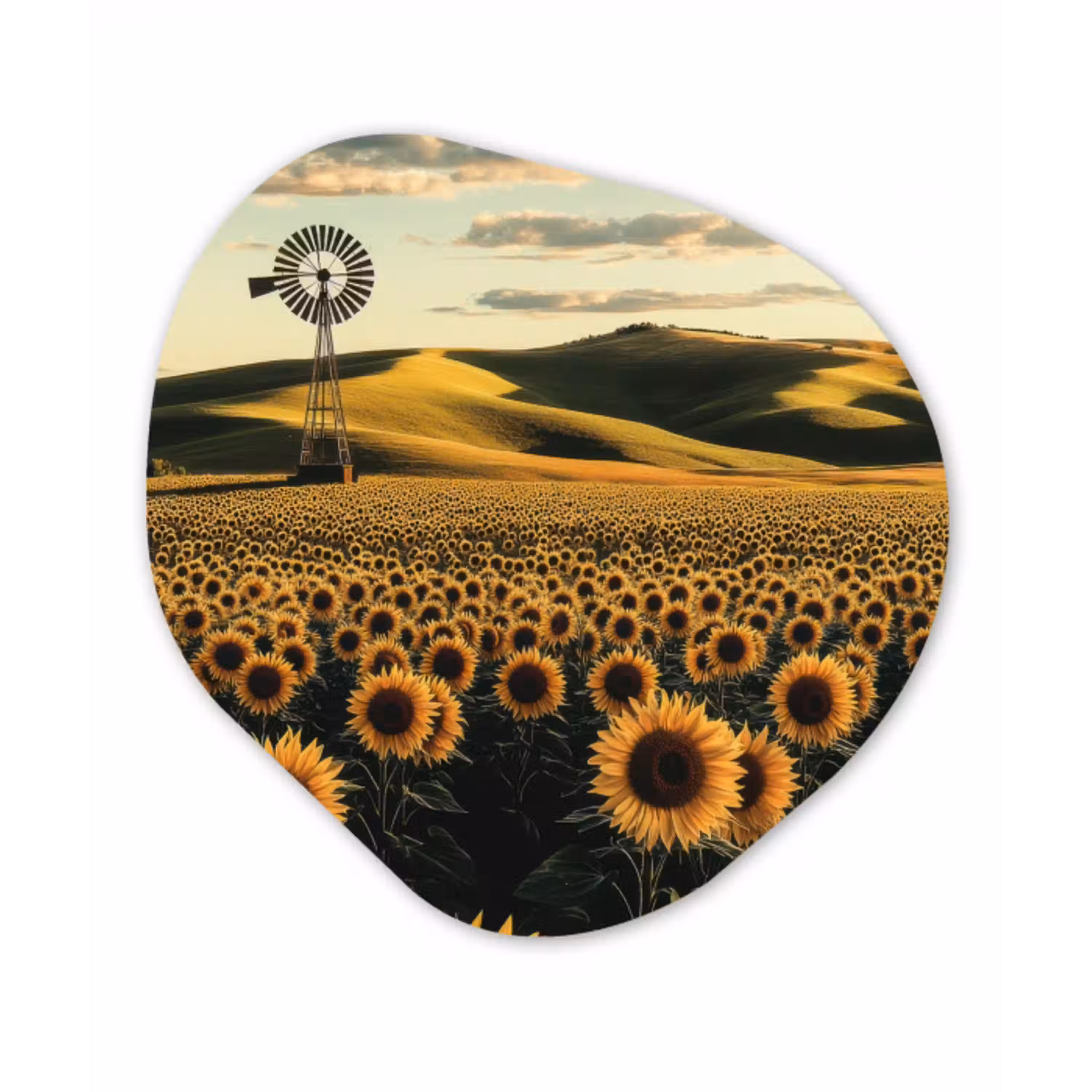 Zonnebloem - Veld - Windmolen Wandcirkel Organisch Forex 3mm klein -3d