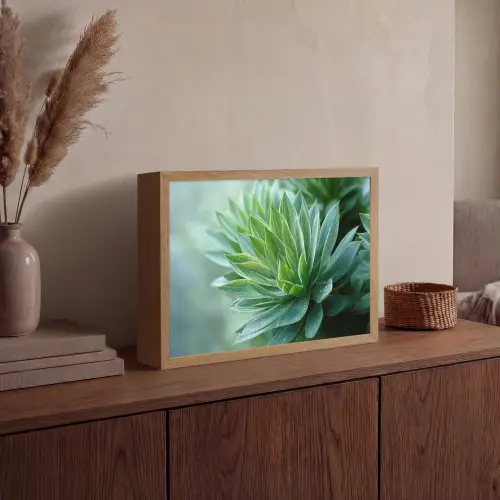 Blad - Plant - Groen - Textuur Light Box met batterij (Wandlamp) middel -sfeer2