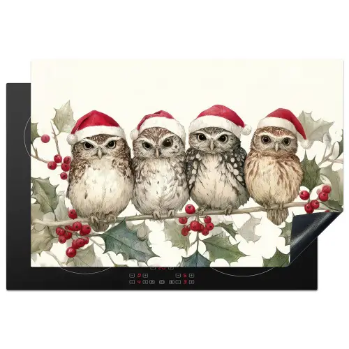 Uilen - Tak - Hulstblaadjes - Kerstmuts Inductie beschermer vinyl 3mm klein -3d
