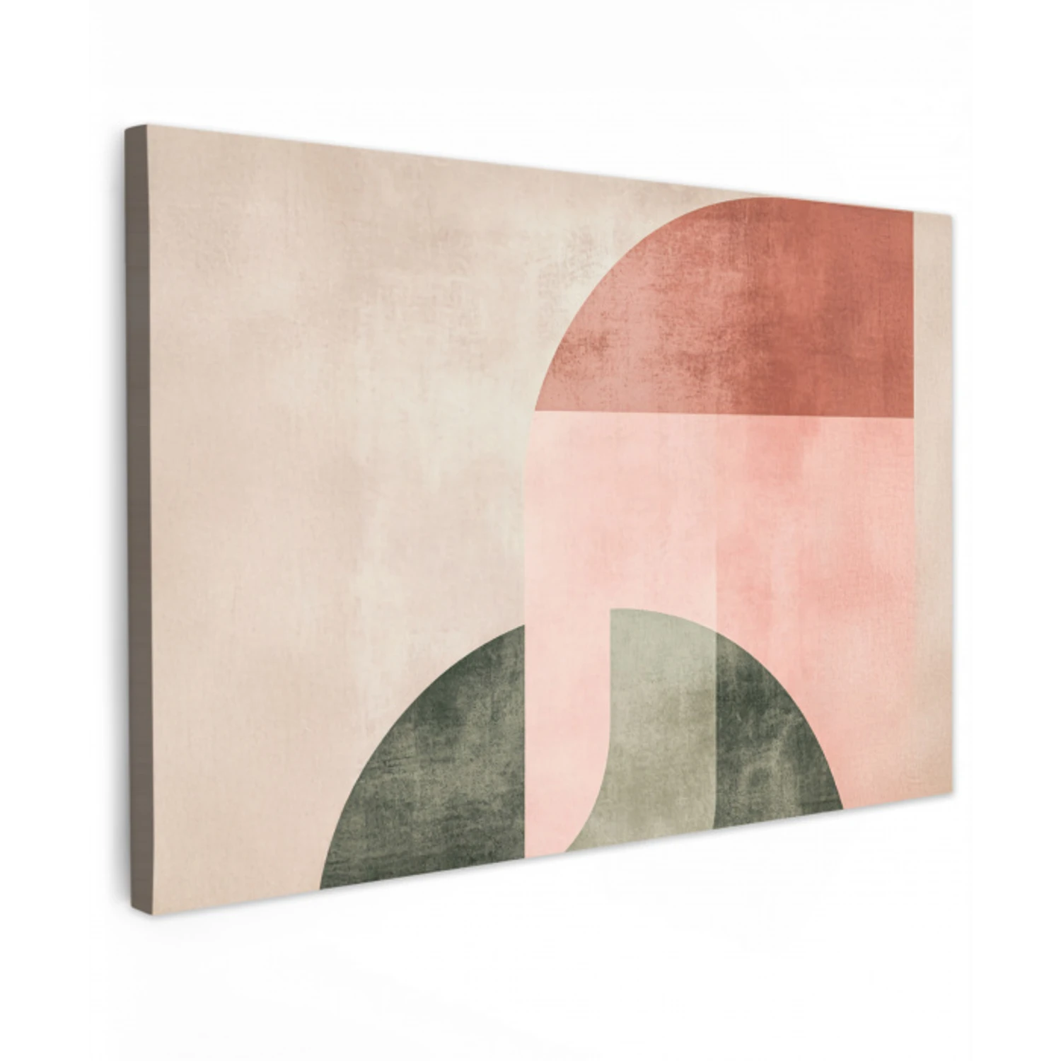 Cirkel - Abstract - Roze Tuinposter op houten frame 2 cm dik klein -3d