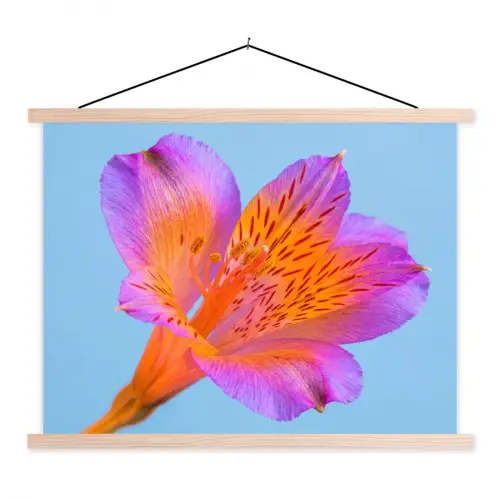 Bloem - Detail - Kleurrijk textielposter latten blank klein -3d