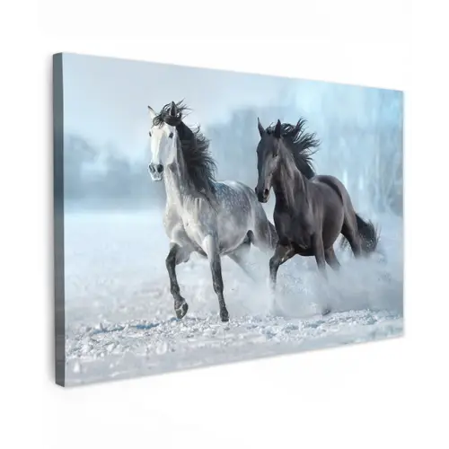 Paarden - Winter - Dieren - Natuur - Sneeuw canvas 2cm klein -z3d