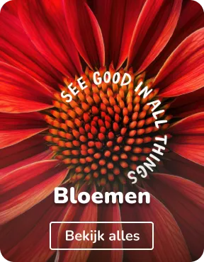 Vilt schilderijen bloemen