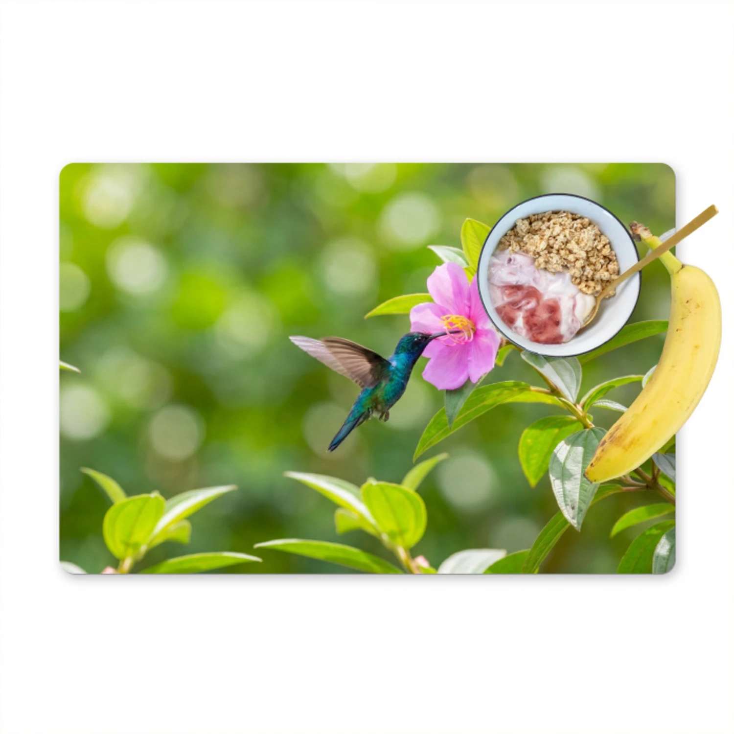 Kolibrie - Bloem - Natuur - Groen Placemat vinyl groot -zzzproduct_Kitchenyeah-website