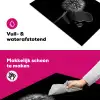 Sterrennacht van Paardenbloem Inductie beschermer vinyl 3mm klein -wsfeer6_website