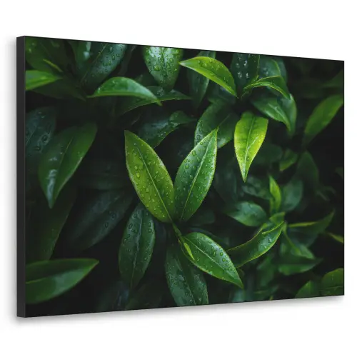 Bladeren - Regendruppels - Licht - Groen Textielframe zwart klein -3d